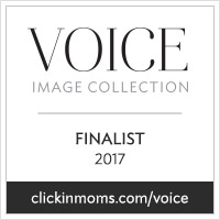 2017VoiceCollection_Finalist_badge.jpg