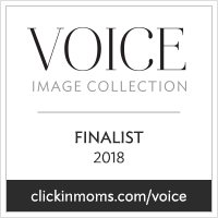 2018VoiceCollection_Finalist_badge.png